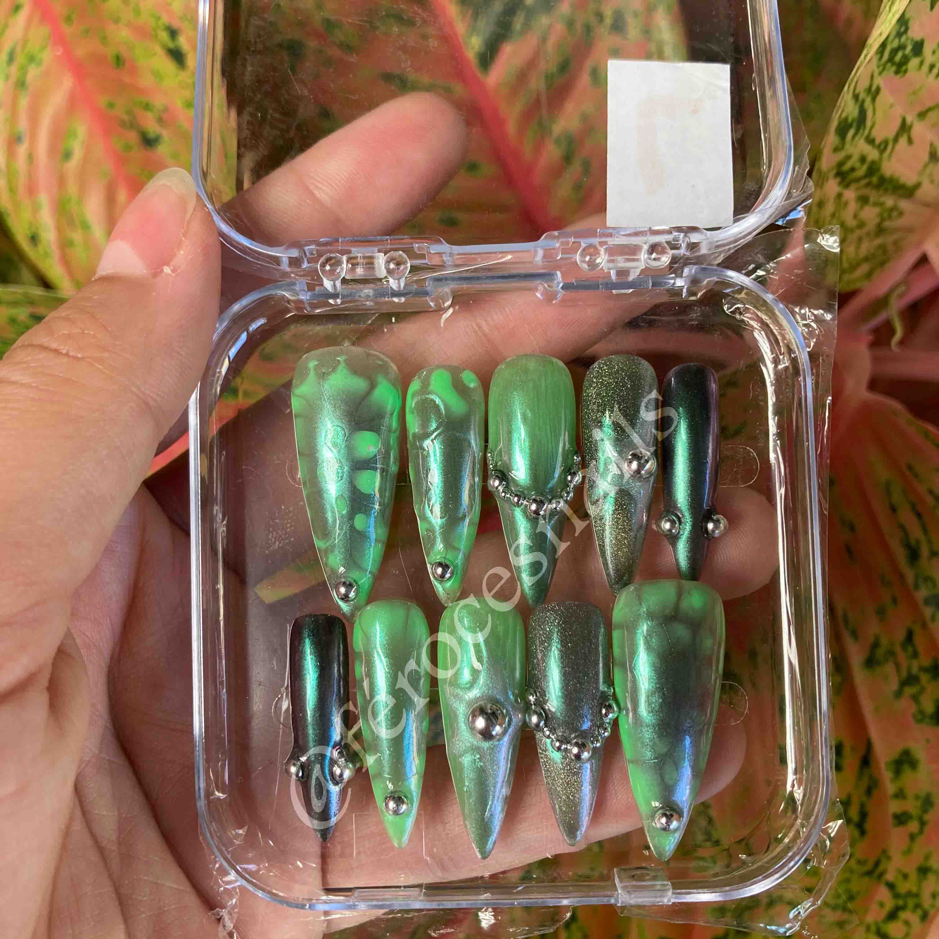 Frog - Press-on nails stiletto